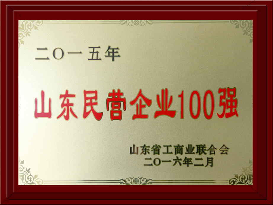 2015年民營企業(yè)100強